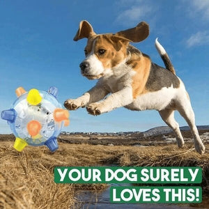 💥Hot Sale💥Jumping activation ball for dogs and cats