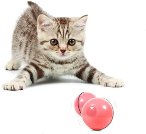 (Christmas sale-48% OFF)Smart Interactive Cat ToyBuy 2 Get 1 Free&Free Shipping leyoupin