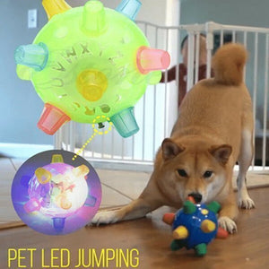 💥Hot Sale💥Jumping activation ball for dogs and cats