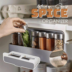 Kitchen Under-Shelf Spice Organizer